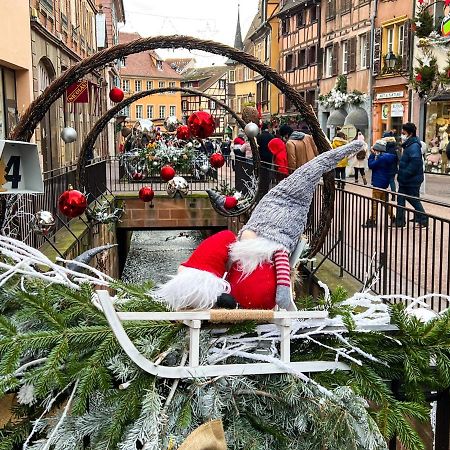 Les Suites Du Cygne Colmar Esterno foto