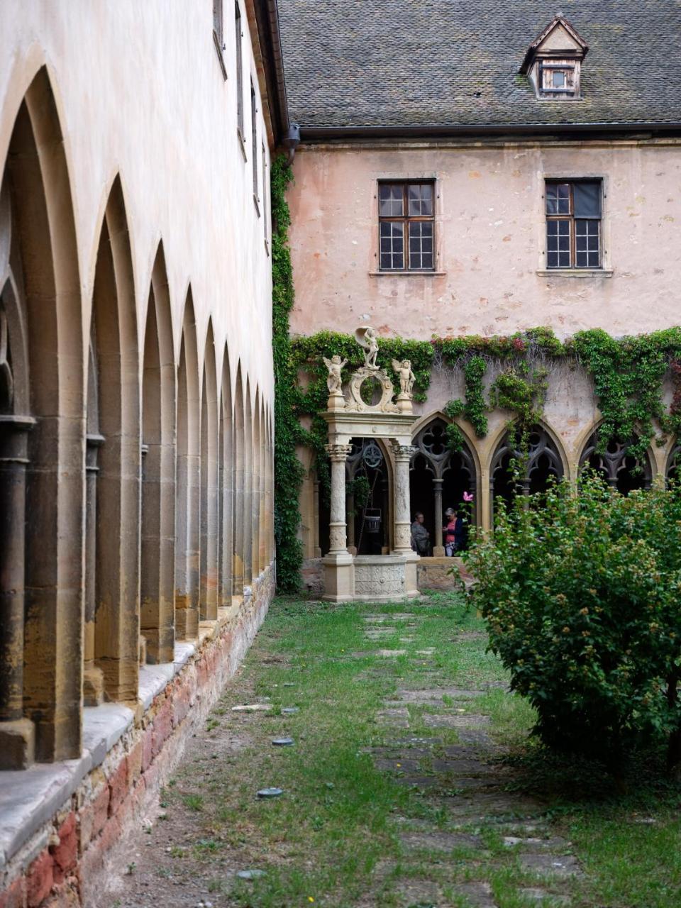 Les Suites Du Cygne Colmar Esterno foto